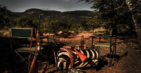 Cape Buffalo Safari 1x1