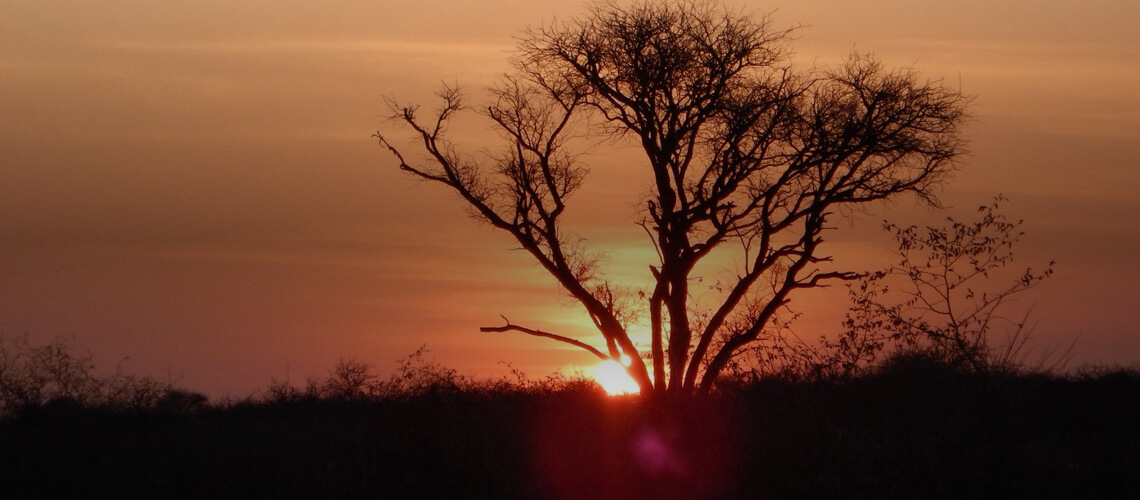 Orpa Hunting Safaris