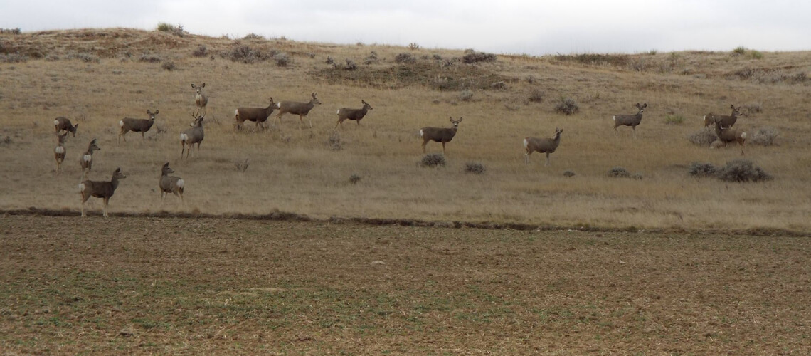 Kibler Outfitting & Charter Fishing llp