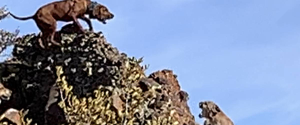 Wild West Outfitters