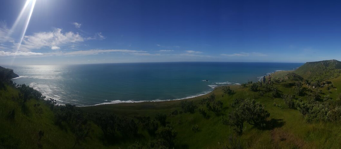 Free-Range Hunting New Zealand