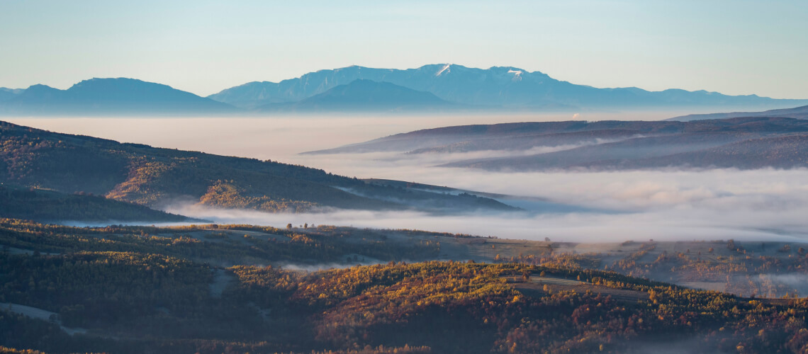 Hunting in Covasna