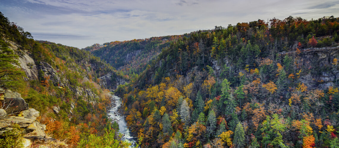 Hunting in Georgia state