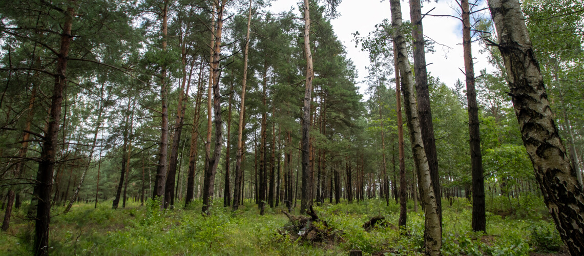 Hunting in Lubusz