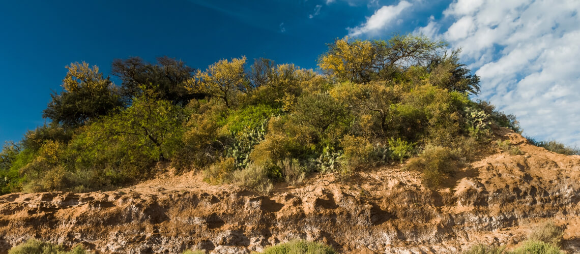 Hunting in La Pampa