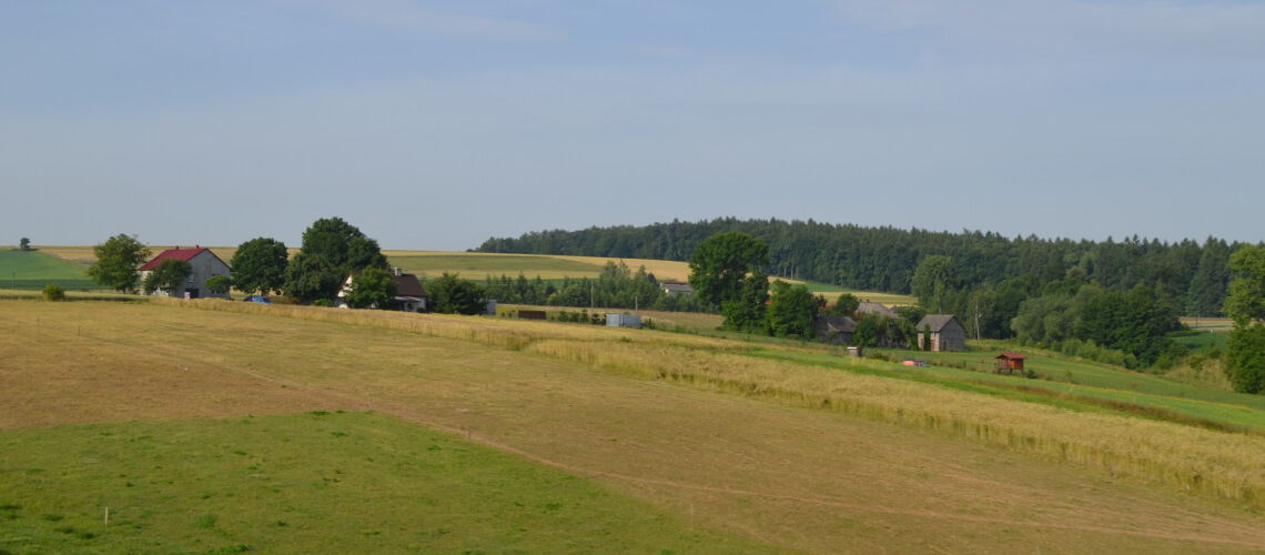 Hunting in Lesser Poland