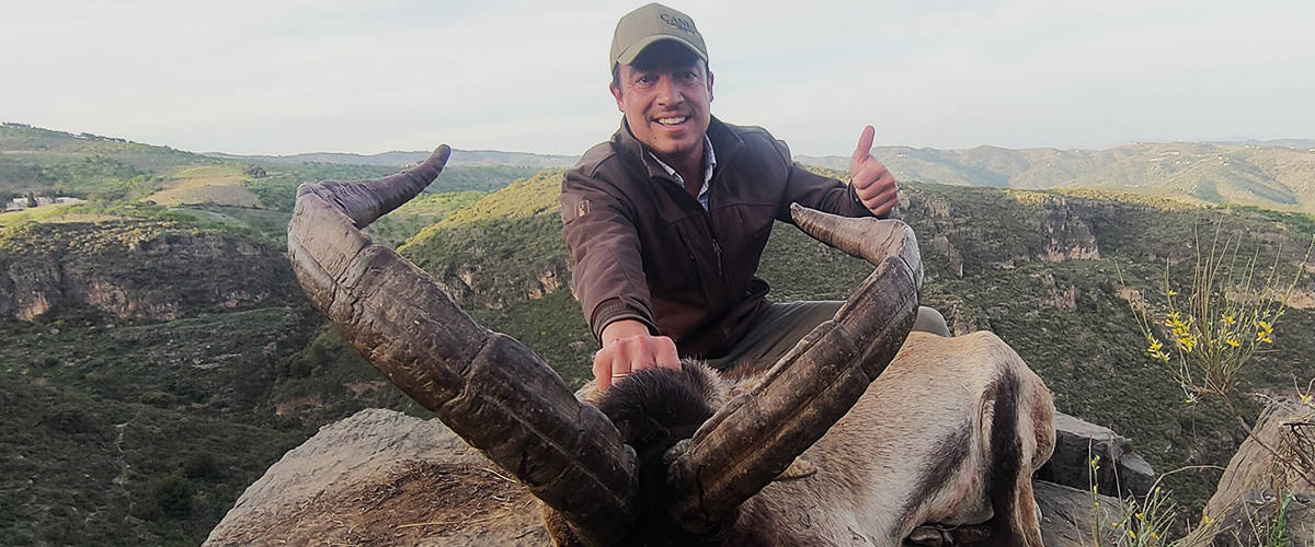 Canes Bespoke Hunting Spain