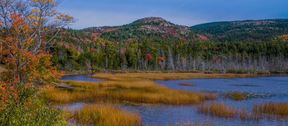 Hunting in Maine