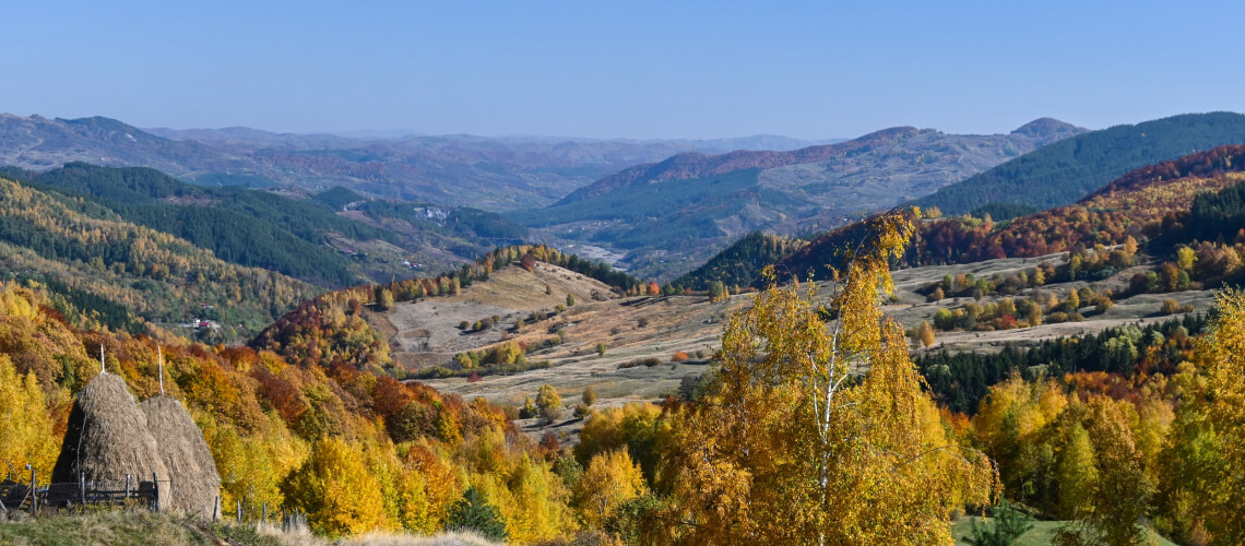 Hunting in Buzău