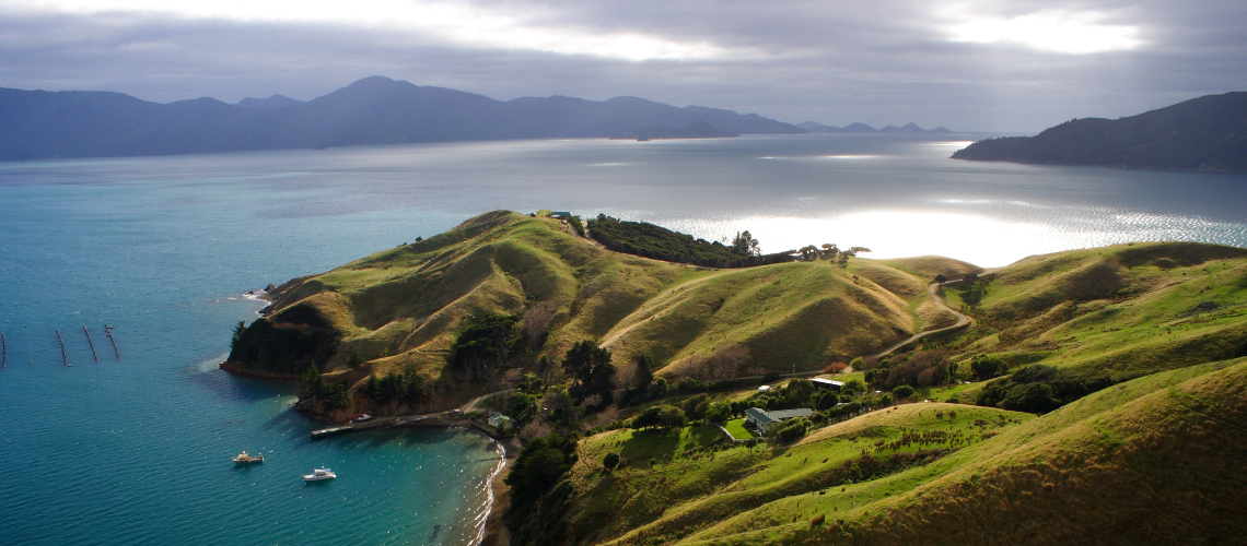 Hunting in Marlborough
