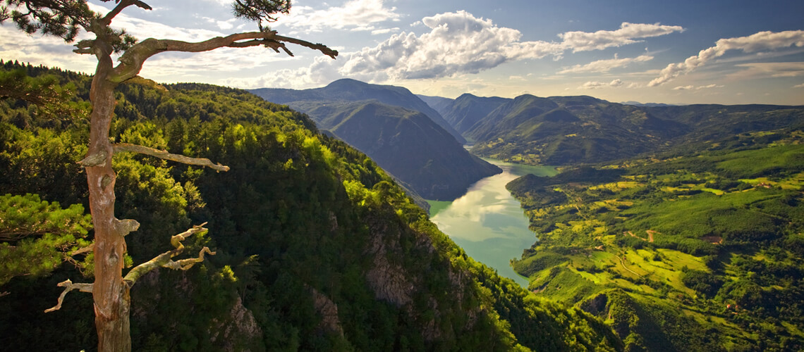 Hunting in Serbia