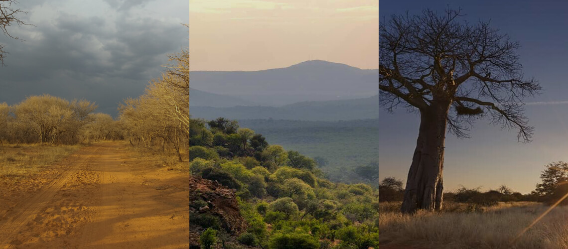 Hunting in Limpopo