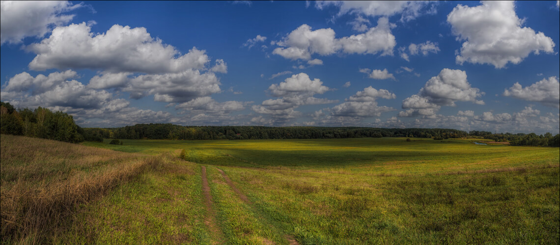 Hunting company "Swan"