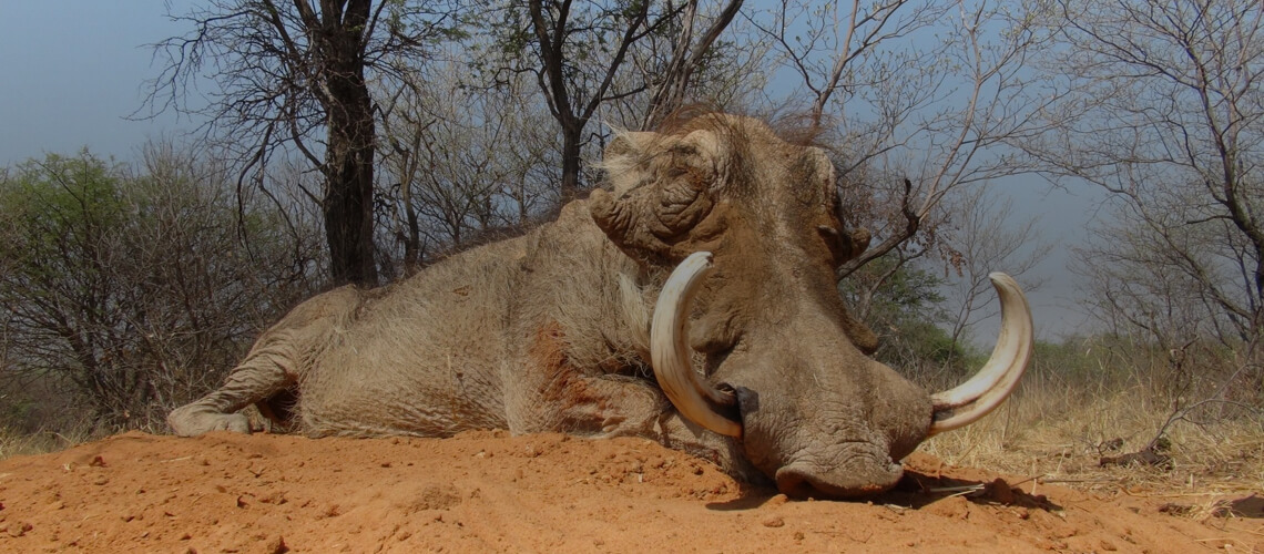 Eldoret Hunting Safaris
