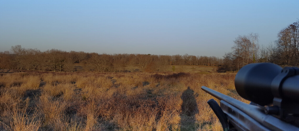 Sejour Chasse