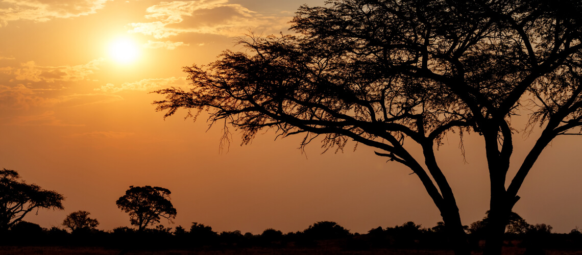 Hunting in Matabeleland North