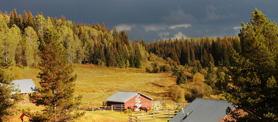 Cariboo Mountain Outfitters