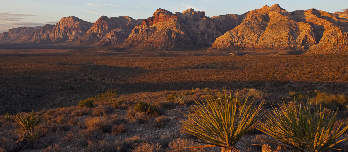 Hunting in Nevada