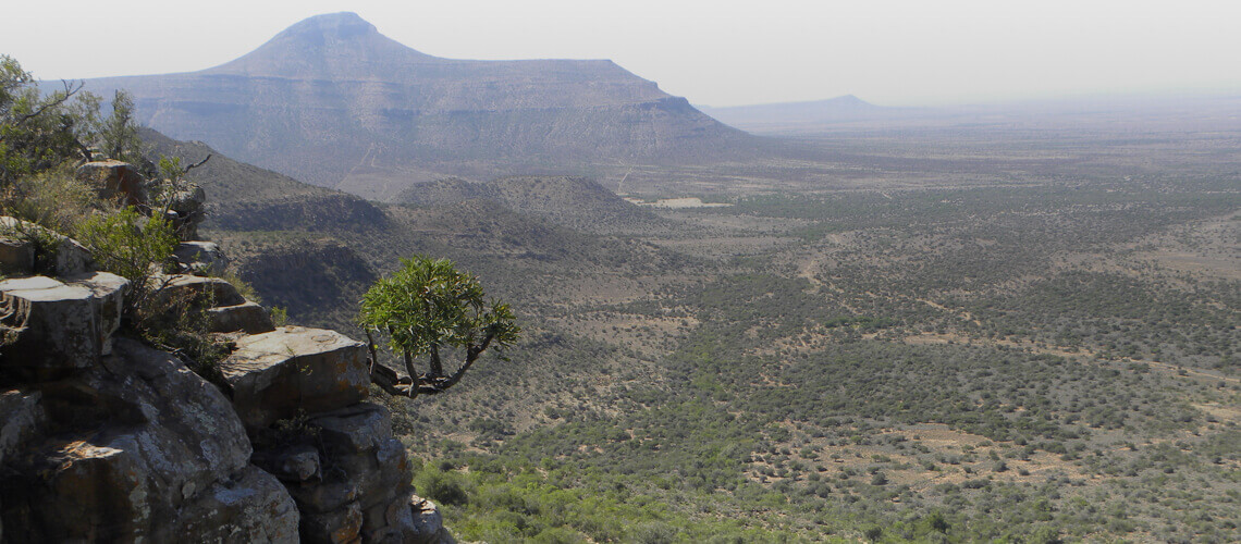 Hunting in Eastern Cape