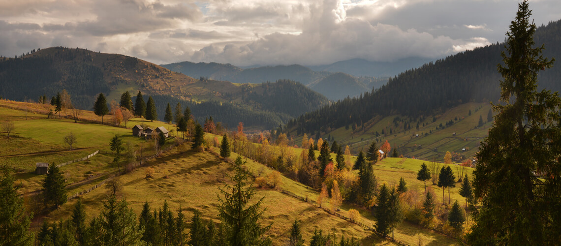 Hunting in Romania
