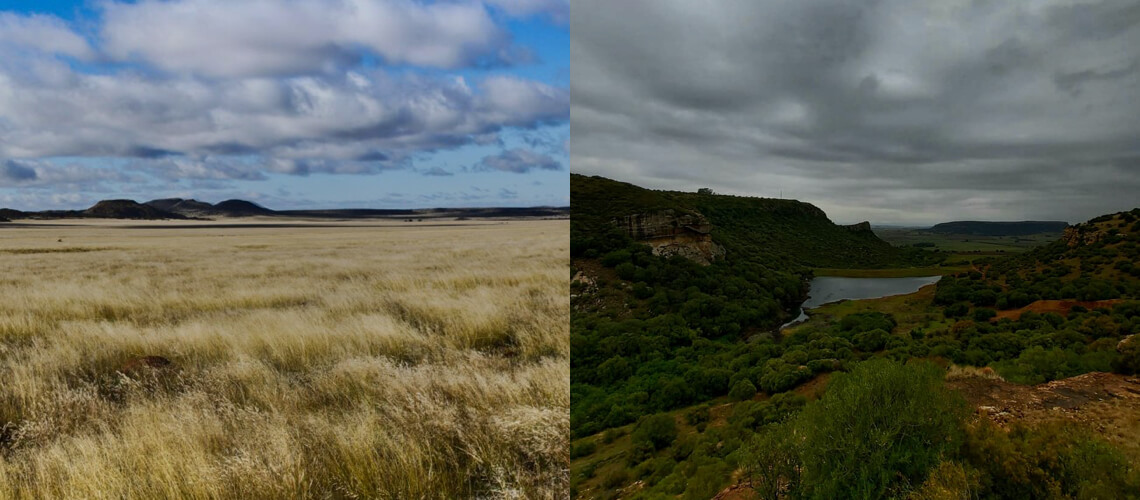 Hunting in Free State