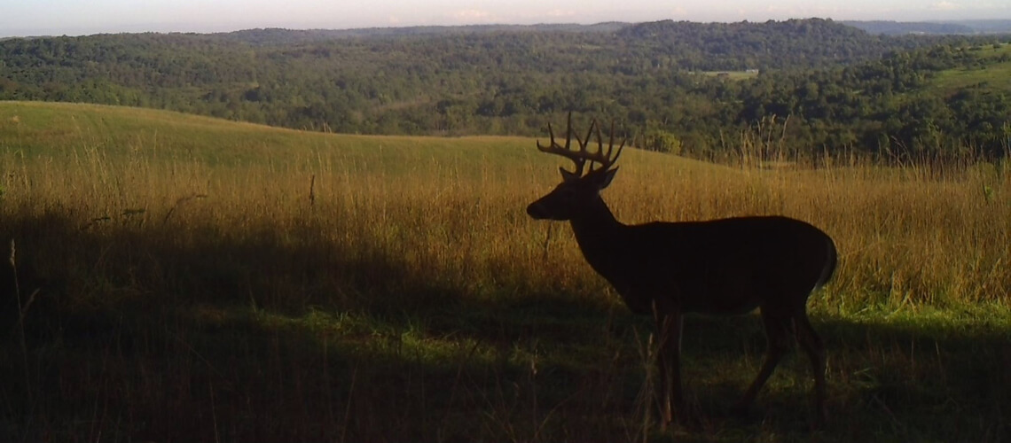 Camp Kay Outfitters