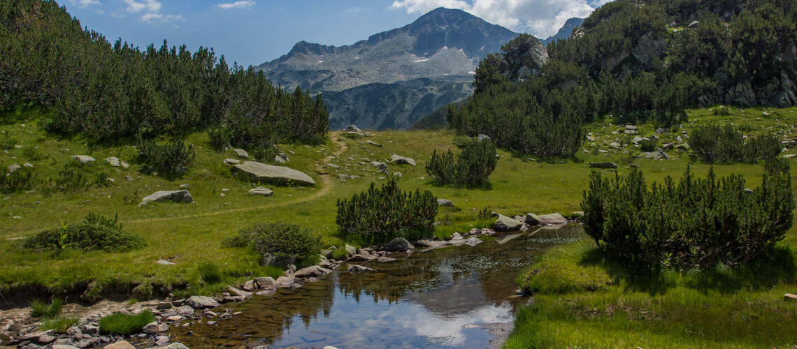 Hunting in Bulgaria