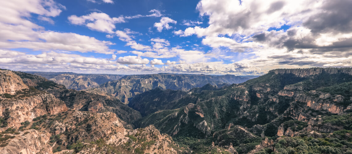 Hunting in Chihuahua