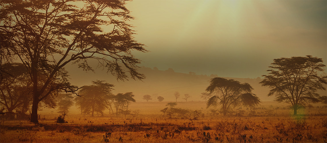 Hunting in Namibia