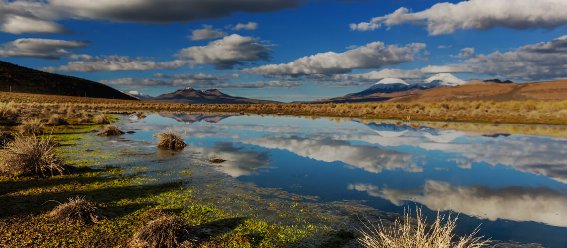 Hunting in Bolivia