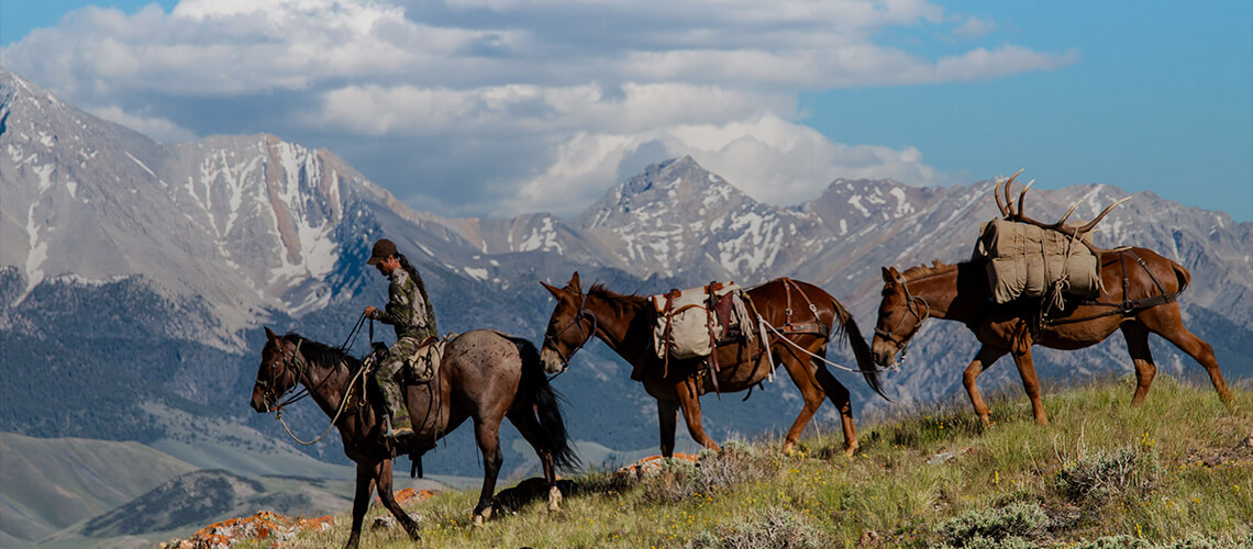Horseback Hunting