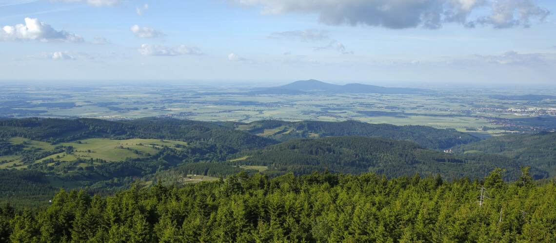 Hunting in Lower Silesian