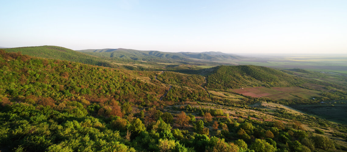 Hunting in Arad