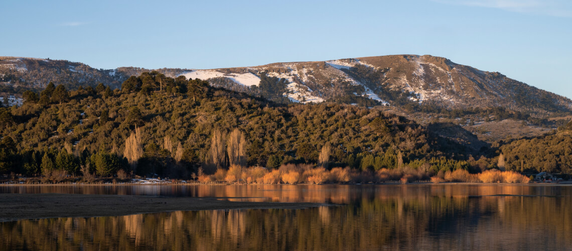 Hunting in Neuquen