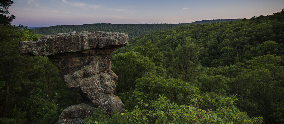 Hunting in Arkansas