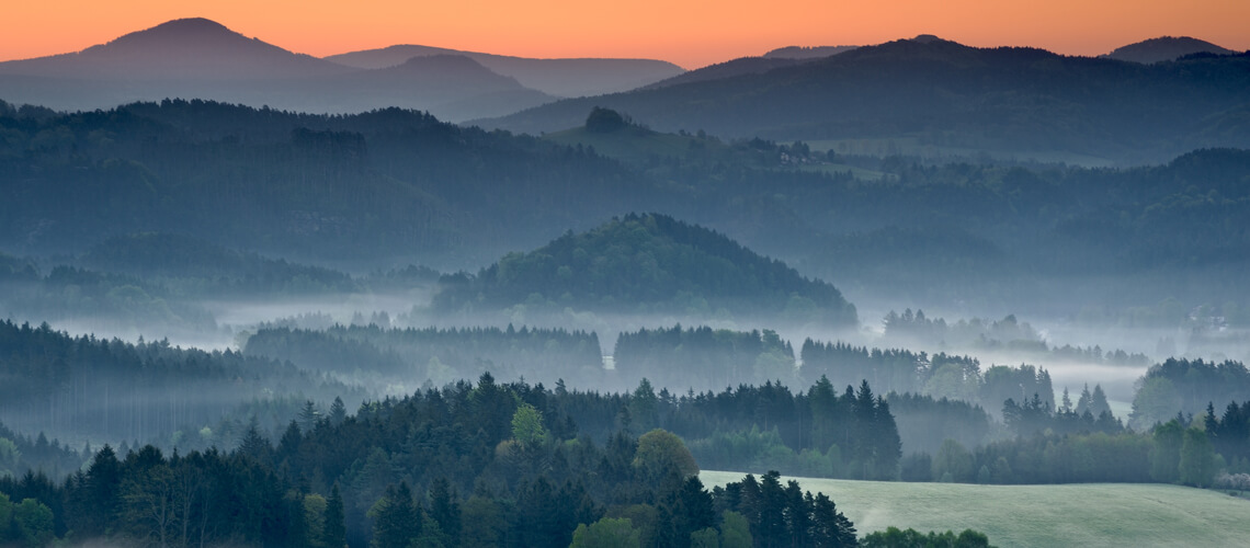 Hunting in Czech Republic