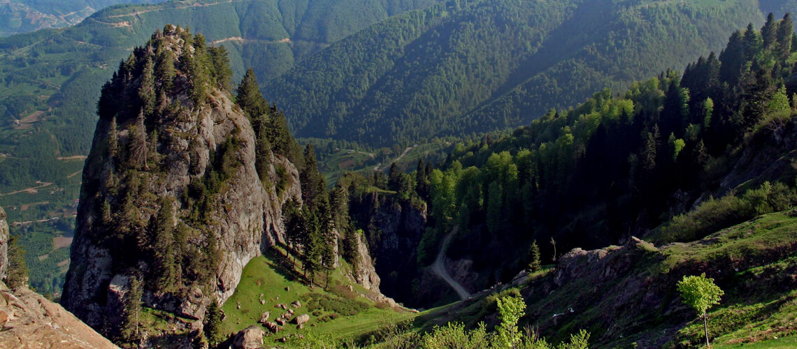 Anatolia Safari