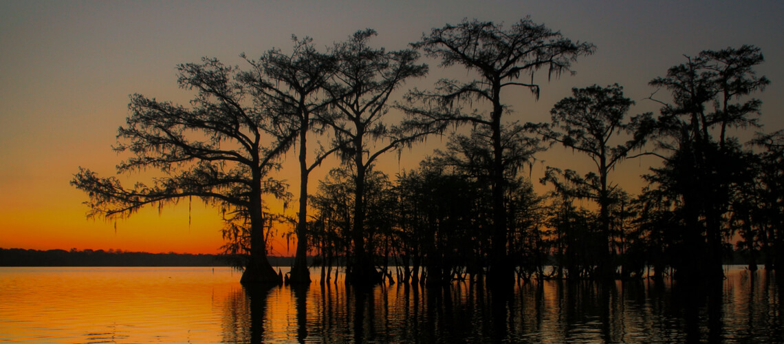 Hunting in Louisiana
