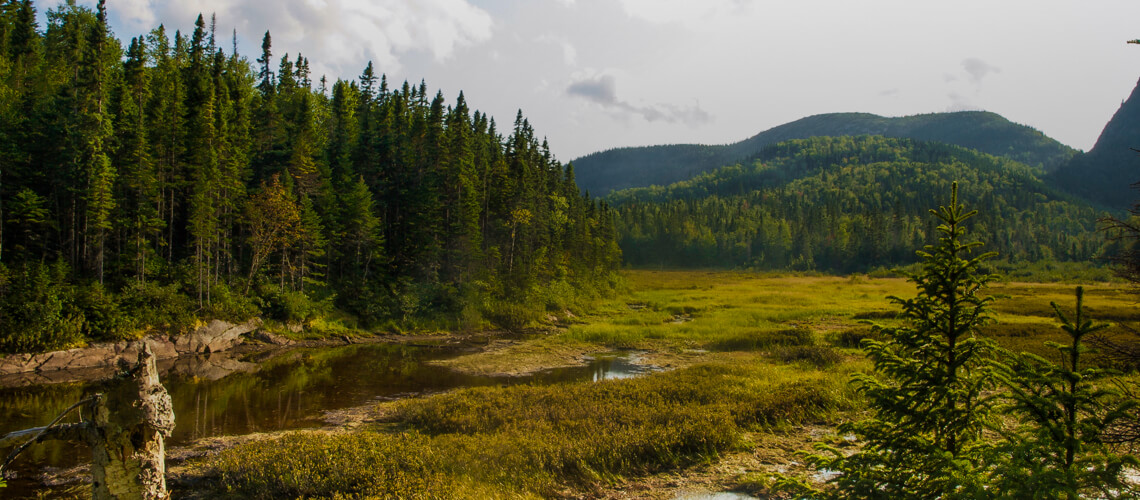 Hunting in Quebec