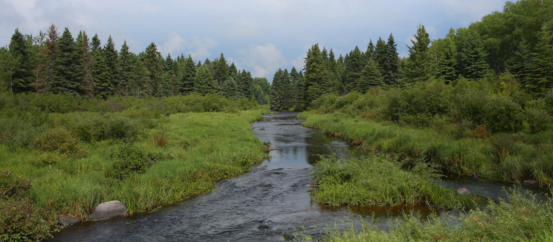 Hunting in Manitoba