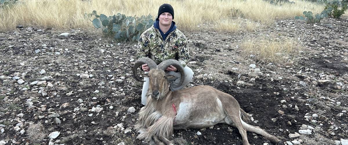 Genesis Springs Ranch LLC