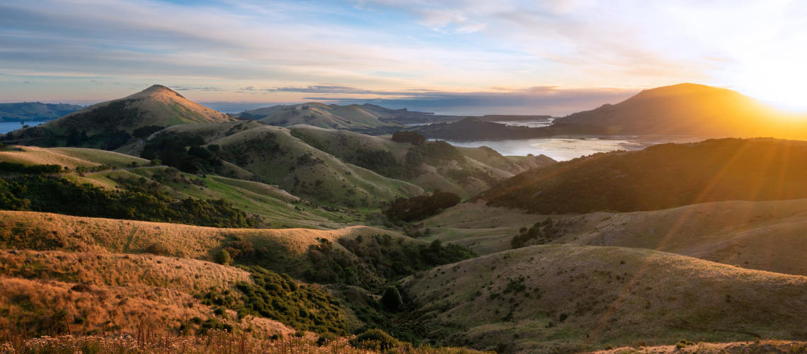 Hunting in Otago