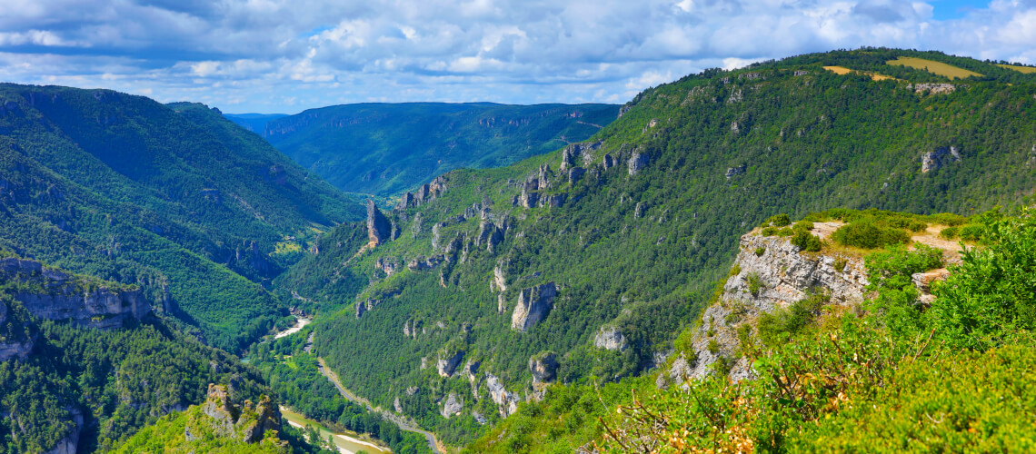 Hunting in Occitanie