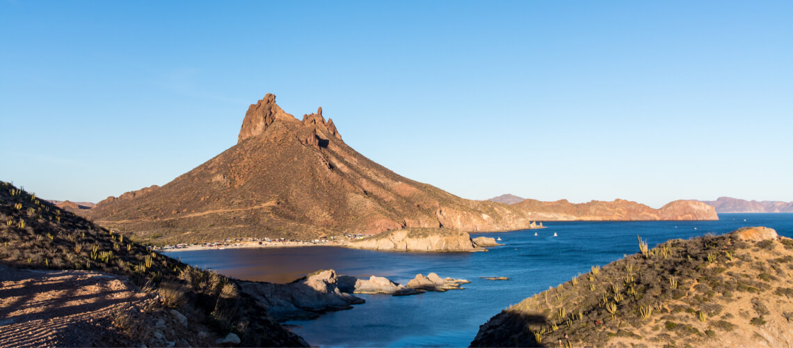 Hunting in Sonora