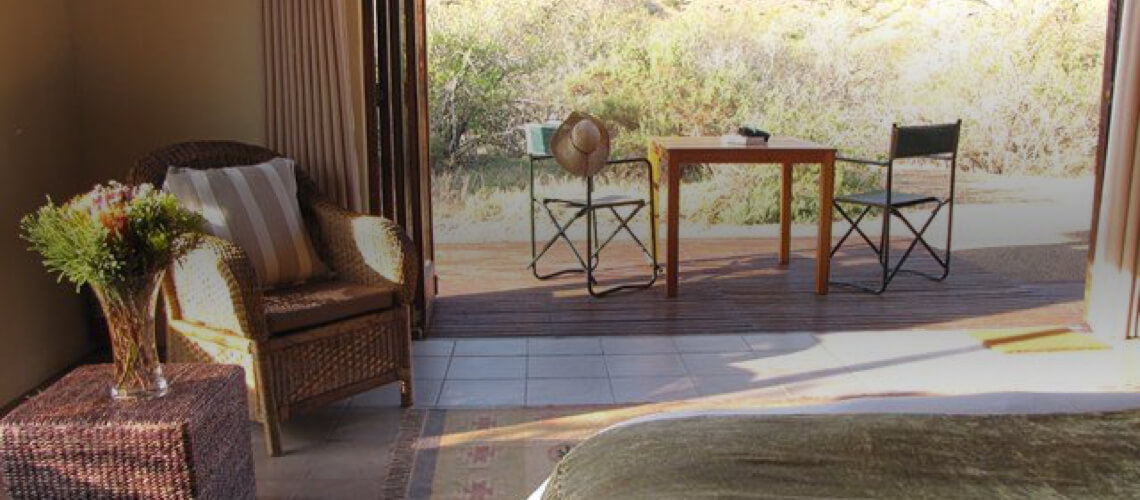 Karoo Wild Safaris