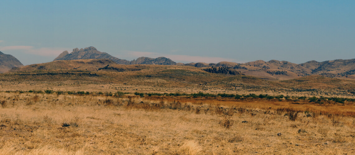 Hunting in Texas