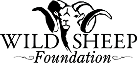 Wild Sheep Foundation, WSF
