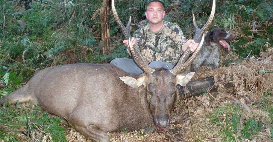 Self-Guided: Sambar Deer Hunt