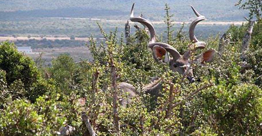 East Cape 7 Package, 2018