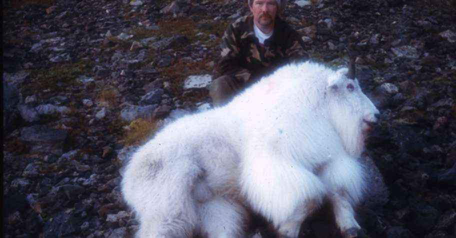 Mountain Goat Hunt 2019